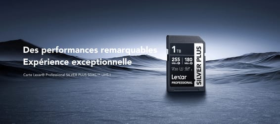 Carte SD Lexar Professional SILVER PLUS SDXC UHS-I 64 Go 205MB/s (LSDSIPL064G-BNNNG)