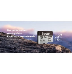 Carte microSD Lexar Professional SILVER PLUS microSDXC UHS-I 64 Go 205MB/s (LMSSIPL064G-BNANG)