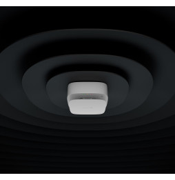 Ajax FireProtect 2 RB Noir - Détecteur de CO