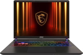 Ordinateur Portable Gaming MSI Vector 16 HX AI (9S7-15M352-015)