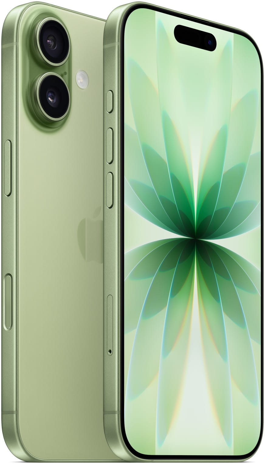 Apple iPhone 17 512 GB Sage (MG6V4AF/A) — image 1