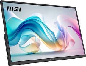 Écran portable 16" Full HD MSI Pro MP165 E6 (4711377318631) — image 2