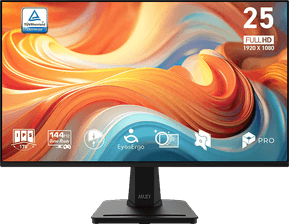 Écran 25" Full HD MSI Pro MP251 E14L (4711377409193)