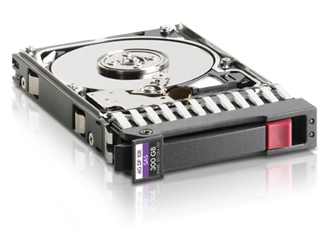 Disque Dur Interne SAS 300Go 10000 Tr/min 64Mo Cache - Serveur 653955-001 EG0300FCVBF