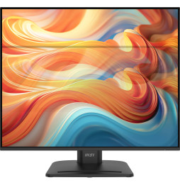 Écran 24" Full HD MSI Pro MP245PG E14 (9S6-3PE39M-001)