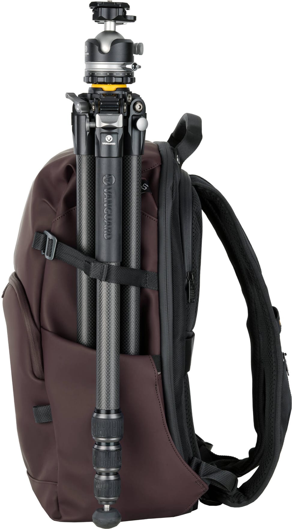Sac à Dos Photo Vanguard VEO LITE B25L Chocolate (4719856255415) — image 16