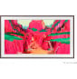 Samsung Customizable Frame