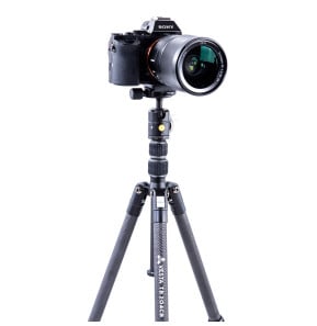 Vanguard Trépied VESTA TB 204CB (4719856247922)