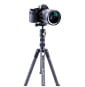 Vanguard Trépied VESTA TB 204CB (4719856247922)