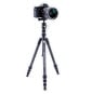 Vanguard Trépied VESTA TB 204CB (4719856247922)