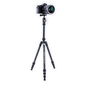Vanguard Trépied VESTA TB 204CB (4719856247922) — image 6