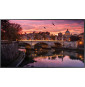 Samsung Qbr B 65" UHD 4K 500nit Ip5x
