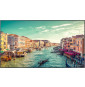 Samsung Qm85r B 85" UHD 4K 500nit Ip5x
