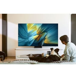 Samsung S95f 65" OLED 4K Vision AI Smart TV