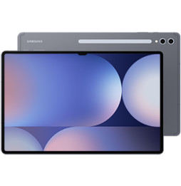 Samsung Galaxy Tab S10 Ultra Gray 256 Go