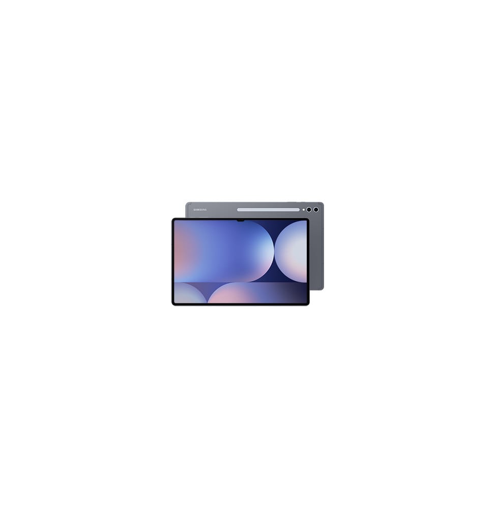 Samsung Galaxy Tab S10 Ultra Gray 256 Go