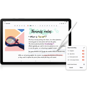 Tablette Samsung Galaxy Tab S10 Lite 5G 10,9" 90 Hz S Pen 256 Go (SM-X406BZREMWD)