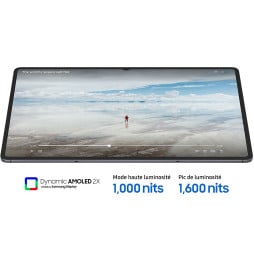 Tablette Samsung Galaxy Tab S11 11" Dynamic AMOLED 2X 5G avec S Pen (SM-X736BZSIMWD)