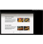 Tablette Samsung Galaxy Tab S9+ 5G 256 Go Graphite (SM-X816BZAAMWD)