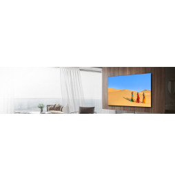 Samsung Mini-LED