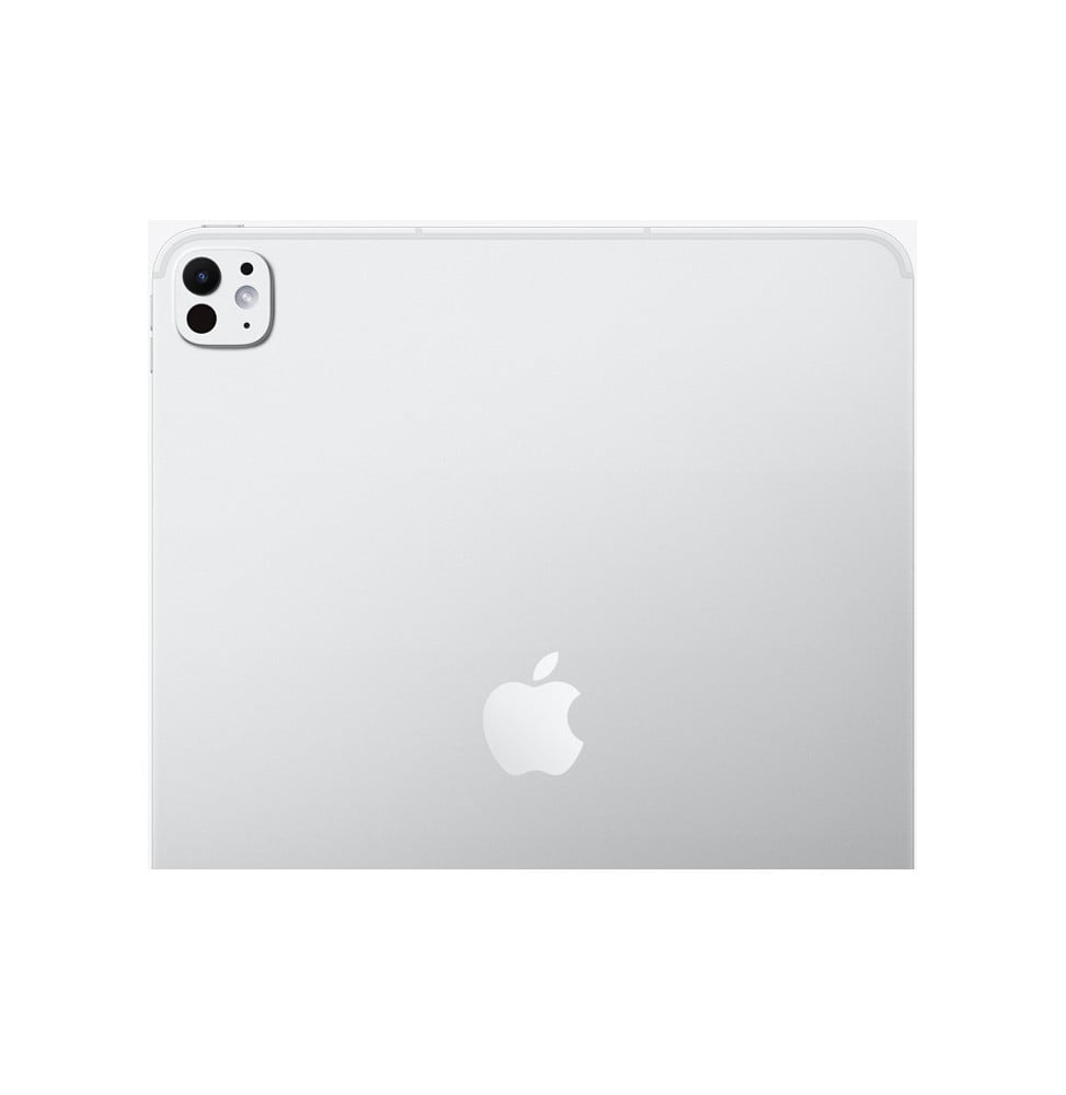 iPad Pro 11″ Argent