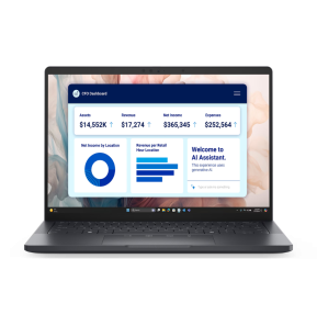 Ordinateur Portable Dell Pro 13 Premium PA13250...