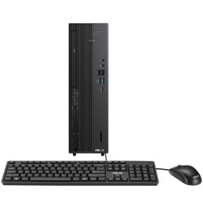 Ordinateur de bureau Asus ExpertCenter D7 SFF D701SER (90PF05N1-M03TR0)