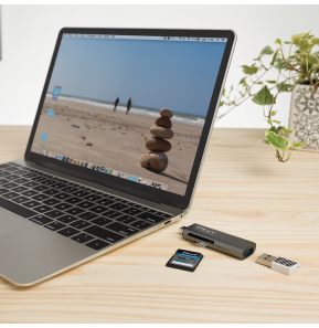 Lecteur Carte Mémoire PNY - 3 en 1 USB-C | SD, microSD, SDHC, microSDHC, SDXC, microSDXC (R-TC-UA-3N1E01-RB) — image 3