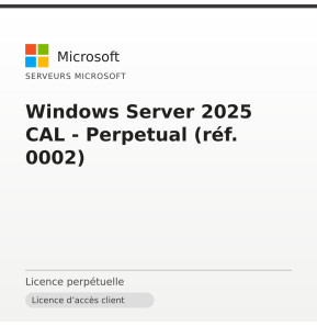 Windows Server 2025 CAL - Perpetual (réf. 0002)