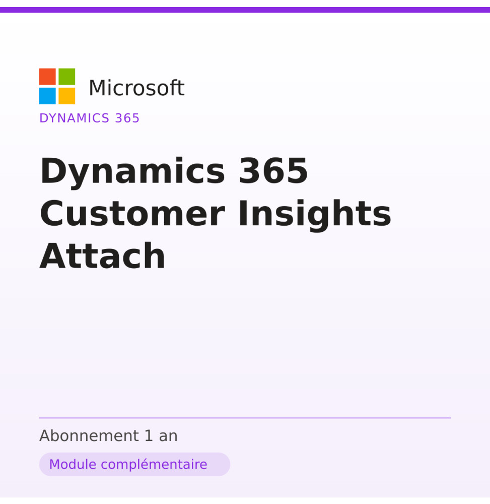 Dynamics 365 Customer Insights Attach — image 1