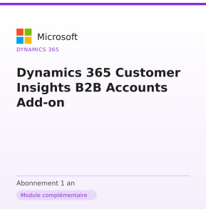 Dynamics 365 Customer Insights B2B Accounts Add-on