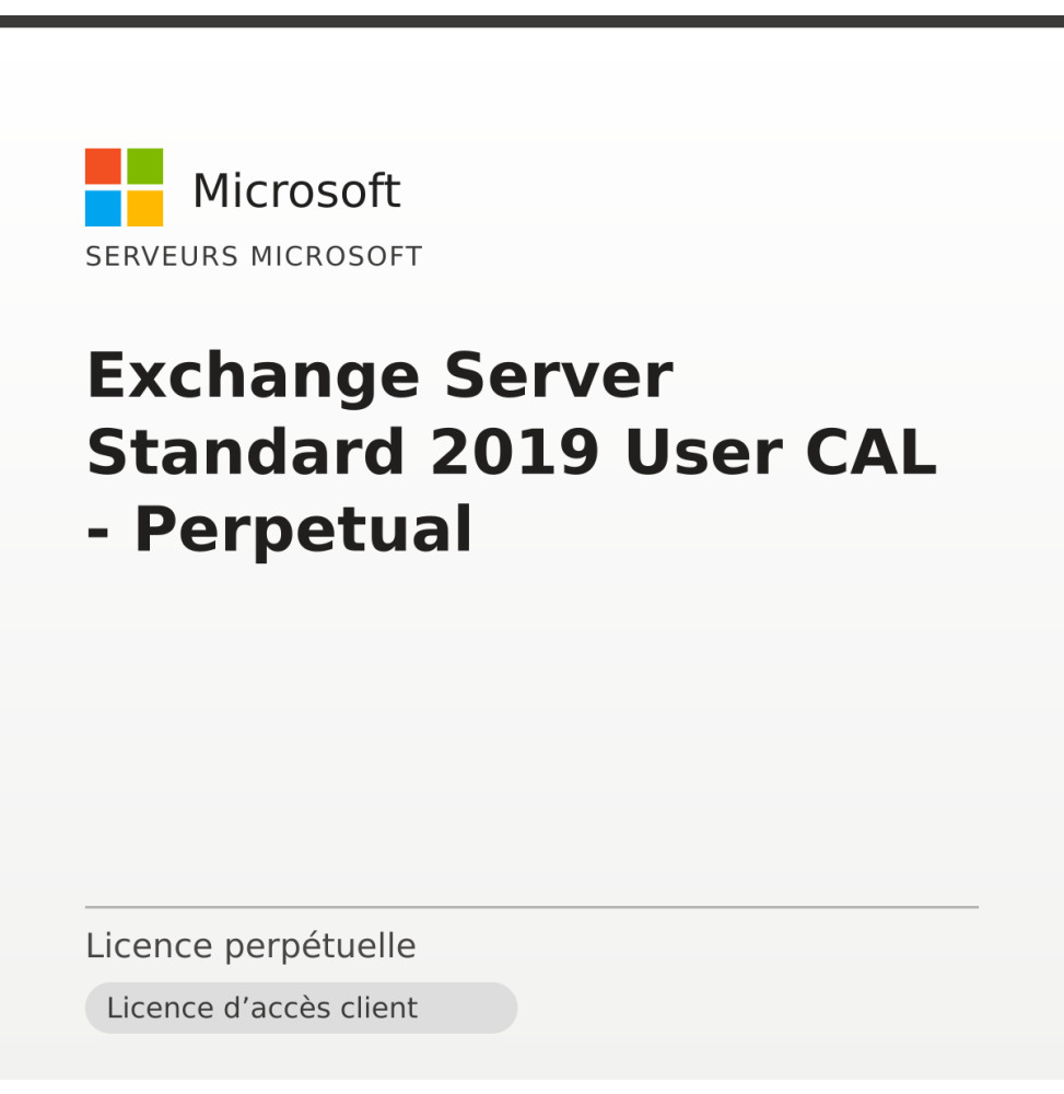 Exchange Server Standard 2019 User CAL - Perpetual — image 1