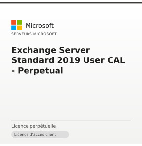 Exchange Server Standard 2019 User CAL - Perpetual