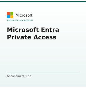 Microsoft Entra Private Access