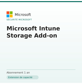 Microsoft Intune Storage Add-on
