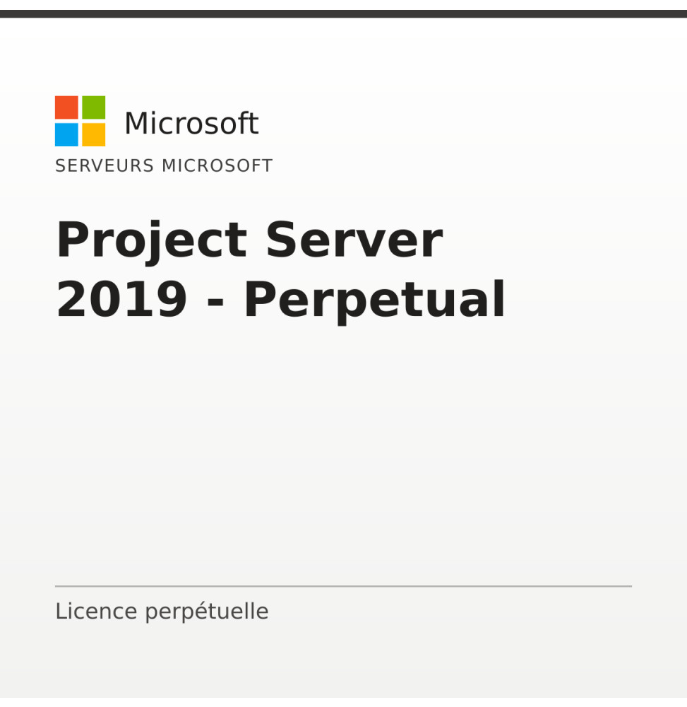 Project Server 2019 - Perpetual — image 1