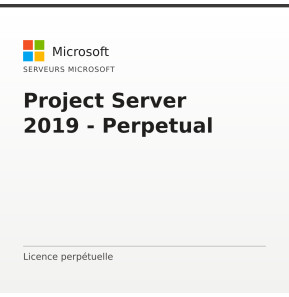 Project Server 2019 - Perpetual