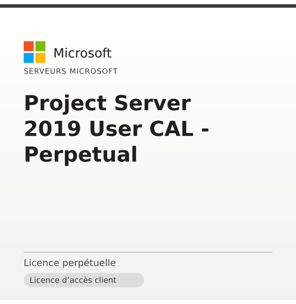 Project Server 2019 User CAL - Perpetual — image 1