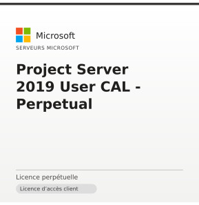 Project Server 2019 User CAL - Perpetual