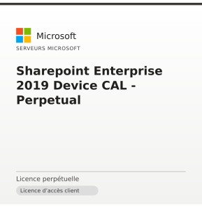 Sharepoint Enterprise 2019 Device CAL - Perpetual