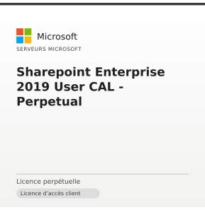 Sharepoint Enterprise 2019 User CAL - Perpetual