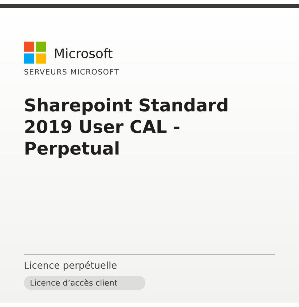 Sharepoint Standard 2019 User CAL - Perpetual — image 1