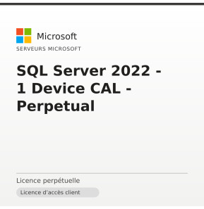 SQL Server 2022 - 1 Device CAL - Perpetual