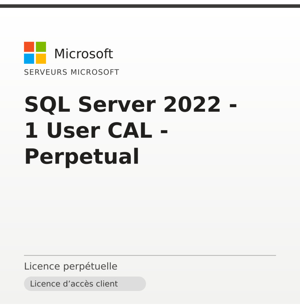 SQL Server 2022 - 1 User CAL - Perpetual — image 1