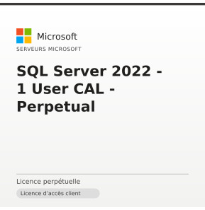 SQL Server 2022 - 1 User CAL - Perpetual