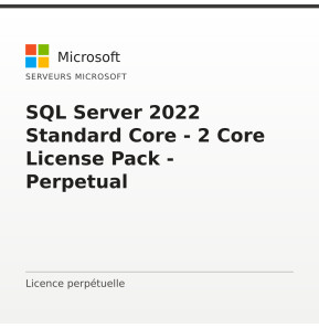 SQL Server 2022 Standard Core - 2 Core License Pack - Perpetual