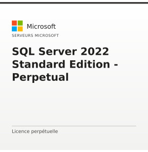 SQL Server 2022 Standard Edition - Perpetual