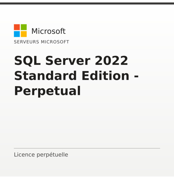 SQL Server 2022 Standard Edition - Perpetual