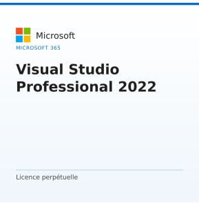 Visual Studio Professional 2022