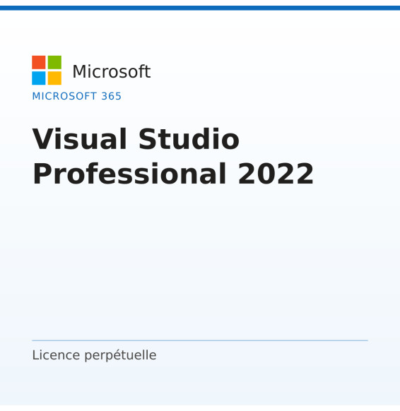 Visual Studio Professional 2022